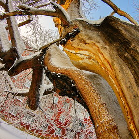 ����. ������. �������