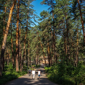 ������ ����. ���������� �� �����������