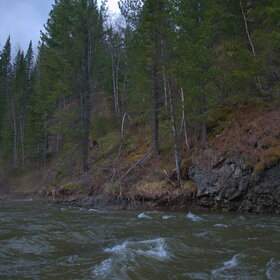 ������ ����. �������