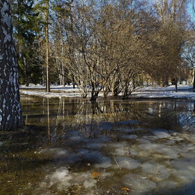 ������ ����. 