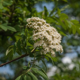 ����. ������. �������