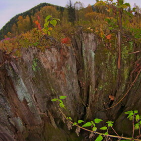 ������ ����. ���������� �� �����������