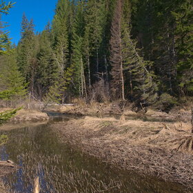 ����� ����. �������