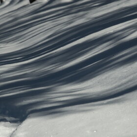 ������ ����. ���������� �� �����������