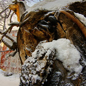 ������ ����. �������