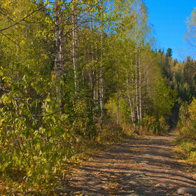 ����. ���� �� �����������. ���������� �� �����������