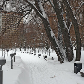 Новые фотографии. Городской парк