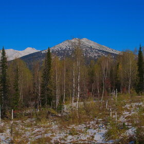 ������ ����. ���������� �� �����������