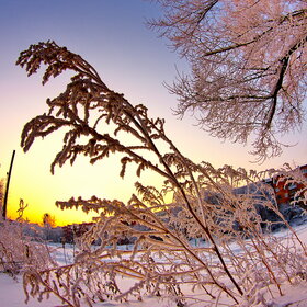 ����. ������. �������