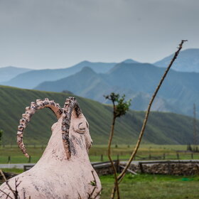 ������ ����. ���������� �� �����������