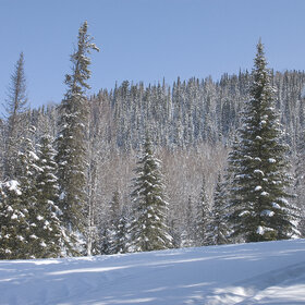 ����� ����. ���������� �� �����������