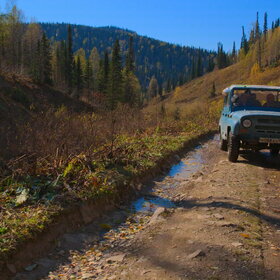 ������ ����. ���������� �� �����������