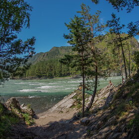 ������ ����. ���������� �� �����������