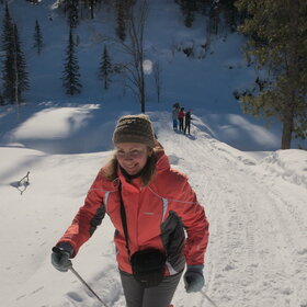 ����� ����. ���������� �� �����������