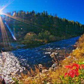 ������ ����. ���������� �� �����������