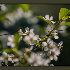 Новые фотографии. Природа