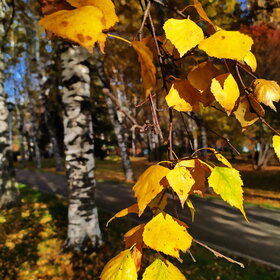 Новые фотографии. ПРИРОДА