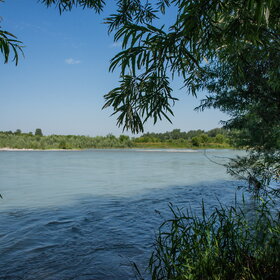 ����. ���� �� �����������. ���������� �� �����������