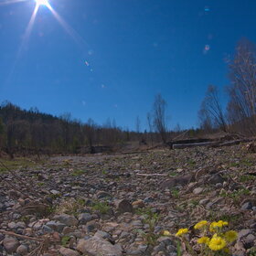 ������ ����. �������