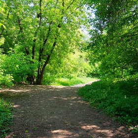 Новые фотографии. Кузьминский парк