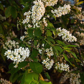 ����. ������. �������