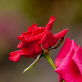 Новые фотографии. ПРИРОДА