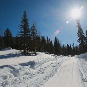 ������ ����. ���������� �� �����������