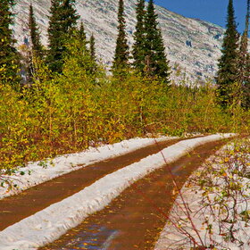 ������ ����. ���������� �� �����������