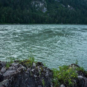 ������ ����. ���������� �� �����������