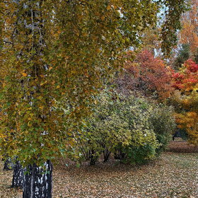 ����. ������. �������