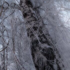 ����. ������. �������