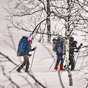 ����� ����. ���������� �� �����������