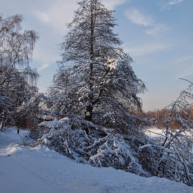 Зимой в Кузьминском парке