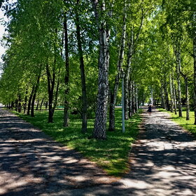 Лучшие фото. ПРИРОДА (1)