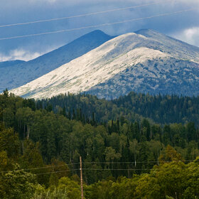 ����� ����. �������