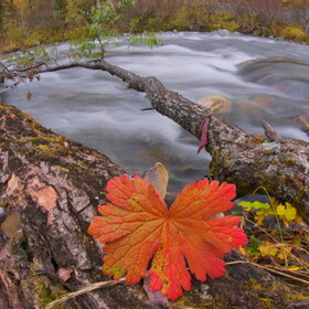 ����. ���� �� �����������. ���������� �� �����������