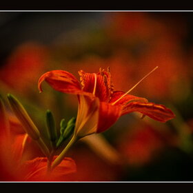 Новые фотографии. Природа