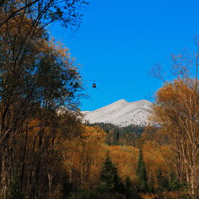 ������ ����. ���������� �� �����������