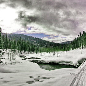 ������ ����. ���������� �� �����������