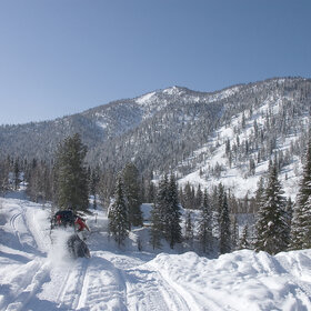 ����� ����. ���������� �� �����������