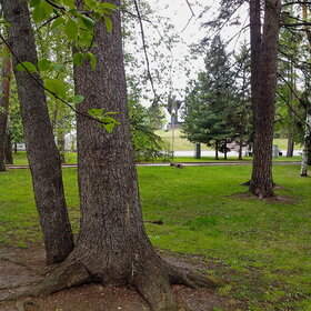 ����. ������. �������