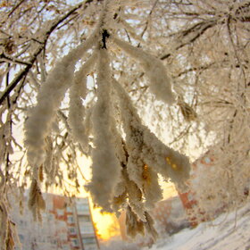 ����. ������. �������