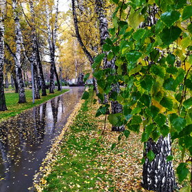 ������ ����. �������