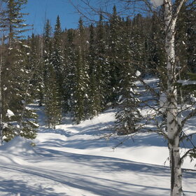 ������ ����. ���������� �� �����������