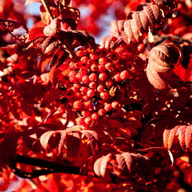 ����. ������. �������