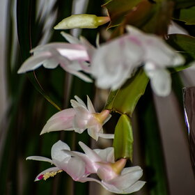 ����. ������. �������