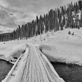 ����� ����. ���������� �� �����������