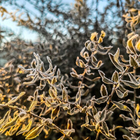 ����. ������. �������