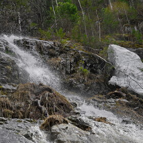 ������ ����. �������