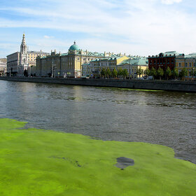 ����. ����������. ��������� ����������